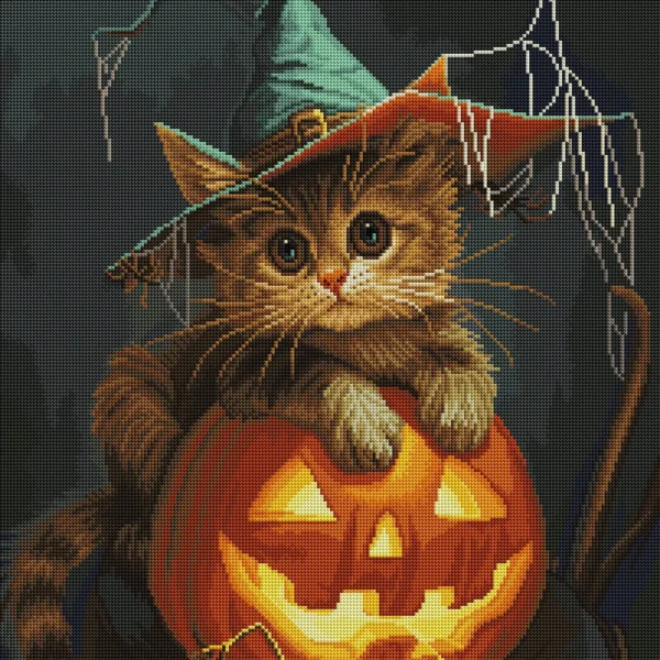 Orange Kitten Glow