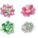 Succulents Coaster Set – 4 Pieces